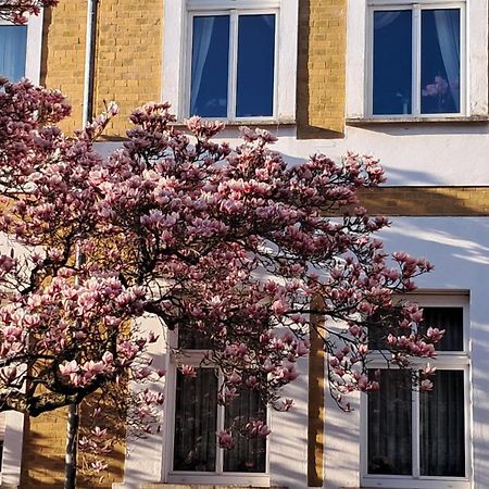 Ferienwohnung Rosi 萨勒河畔瑙姆堡 外观 照片