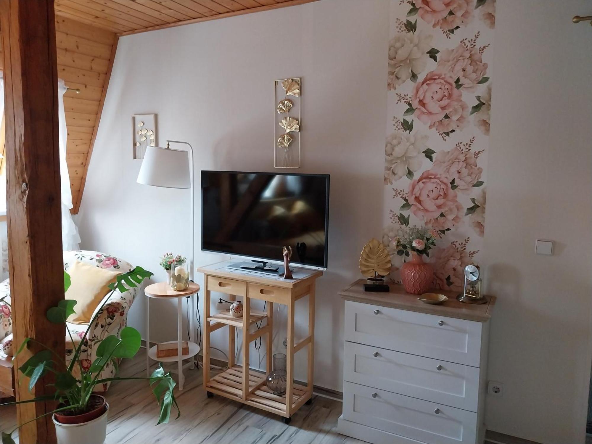 Ferienwohnung Rosi 萨勒河畔瑙姆堡 外观 照片