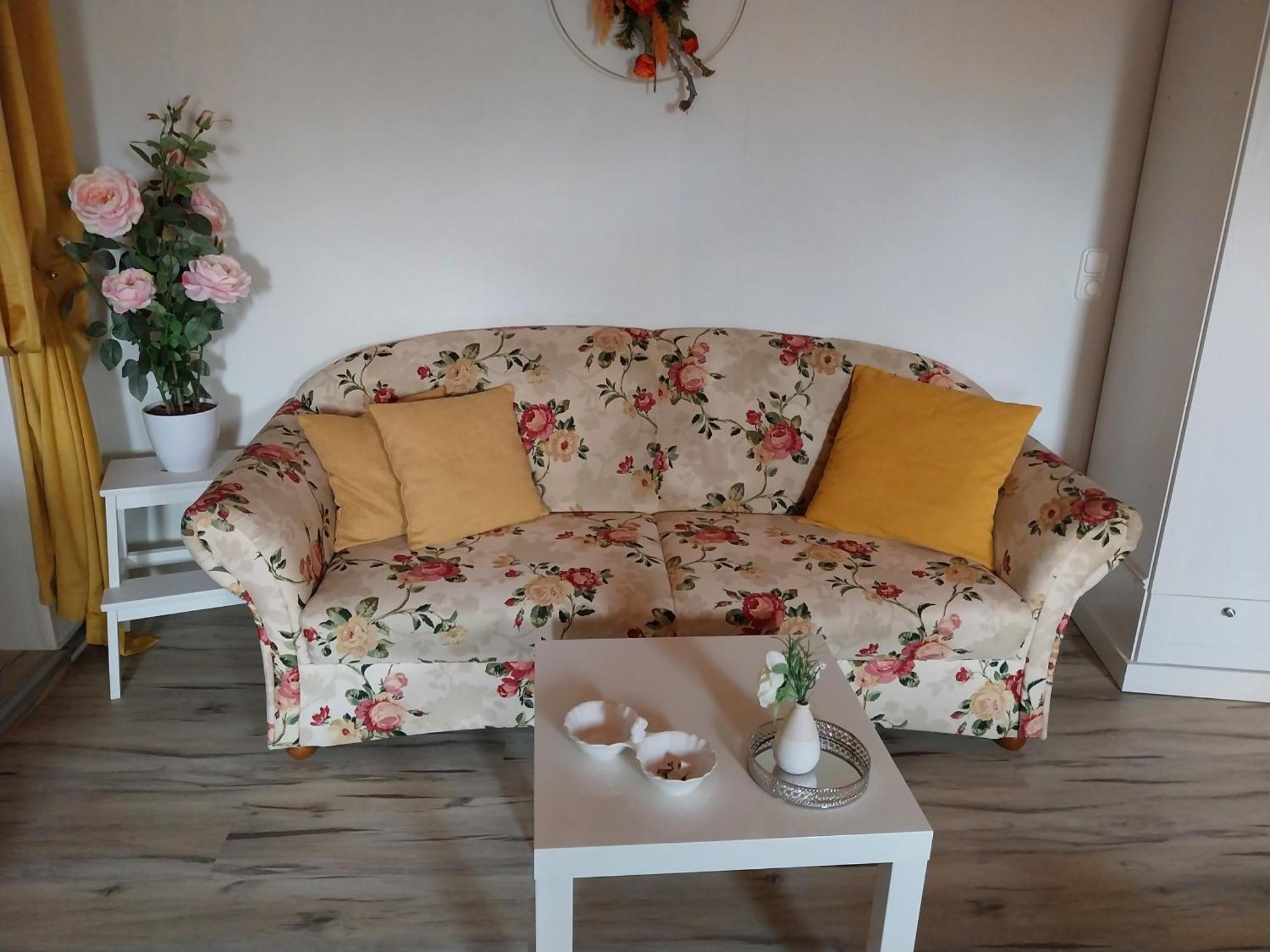 Ferienwohnung Rosi 萨勒河畔瑙姆堡 外观 照片
